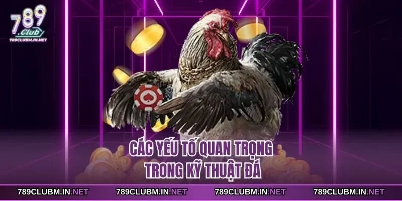 cac-yeu-to-quan-trong-trong-ky-thuat-da